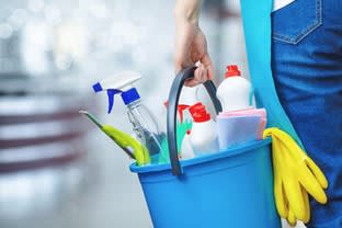 Established Cleaning Business Established Cleaning Business