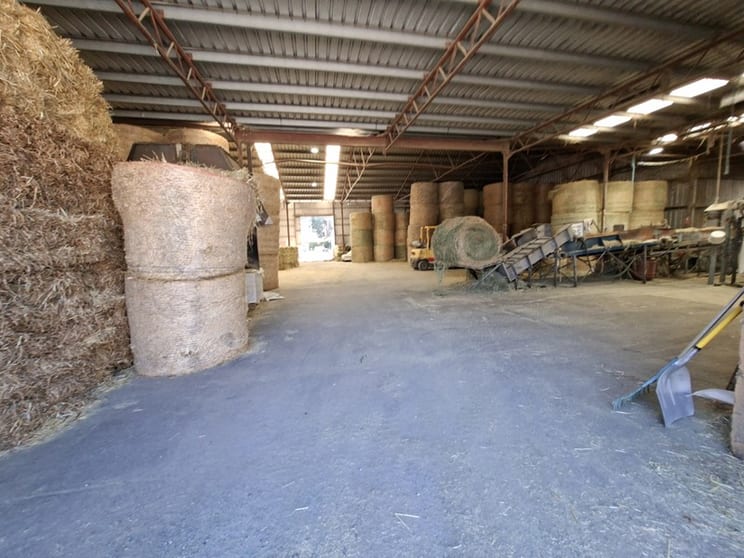 Established Animal Feed Business and large Property for Sale