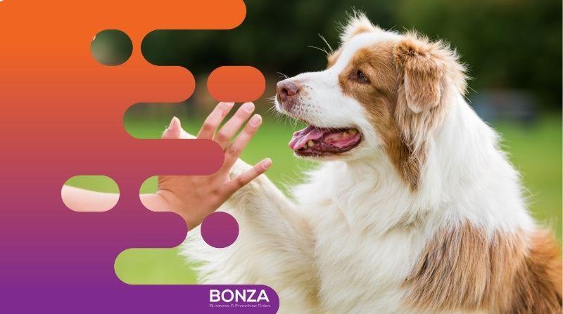 36875 Longstanding & Highly Reputable Dog Training Business - Proven Operation