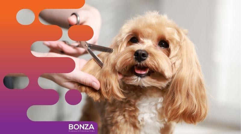 37007 Mobile Pet Grooming Business Ready to Grow 37007 Mobile Pet Grooming Business Ready to Grow