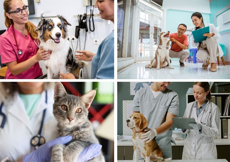 Exceptional Veterinary Business for Sale South East Of Victoria Exceptional Veterinary Business for Sale South East Of Victoria