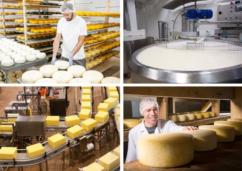 Premium Artisan Cheese Manufacturing & Retail Business | Dandenong, VIC Premium Artisan Cheese Manufacturing & Retail Business | Dandenong, VIC