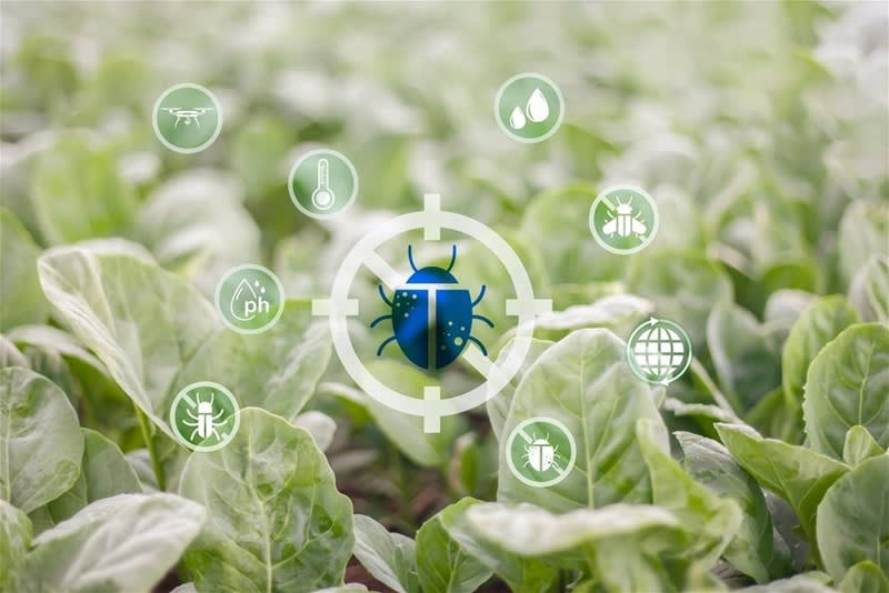 Chemical Free Pest Control Manufacturer & Retailer Chemical Free Pest Control Manufacturer & Retailer