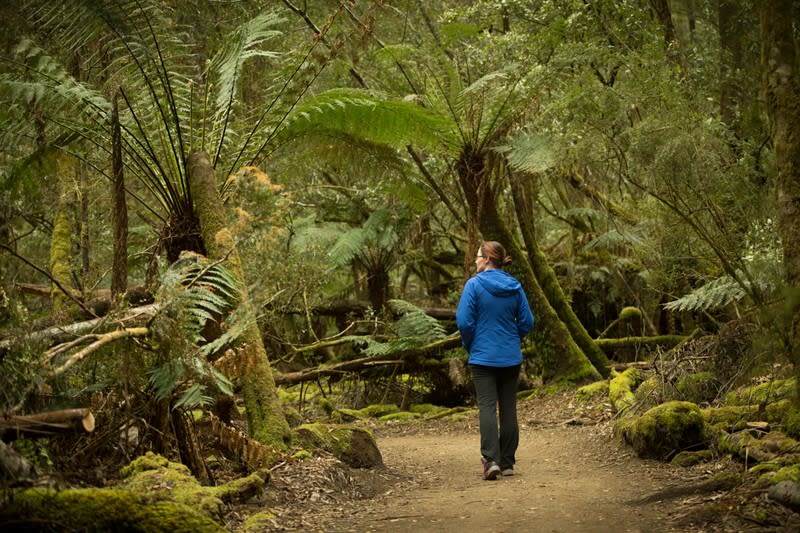 A Landmark Hospitality Opportunity at the Gateway to Tasmania's Most Visited Waterfall
