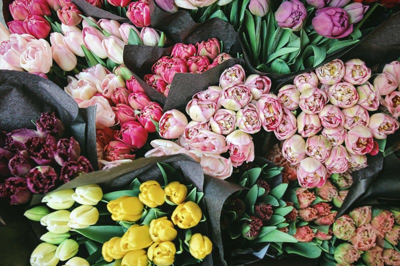 Fresh Produce & Flower Business  Montrose [2608191]