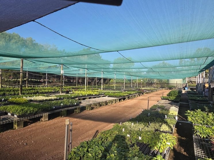 Central to North Queensland Wholesale Nursery Strategic Add on or Lifestyle Business Central to North Queensland Wholesale Nursery Strategic Add on or Lifestyle Business