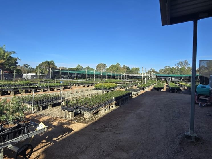 Central to North Queensland Wholesale Nursery Strategic Add on or Lifestyle Business Central to North Queensland Wholesale Nursery Strategic Add on or Lifestyle Business