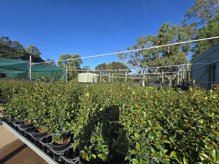 Central to North Queensland Wholesale Nursery Strategic Add on or Lifestyle Business Central to North Queensland Wholesale Nursery Strategic Add on or Lifestyle Business