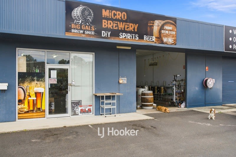 Big Gal's Brew Shed | Turn Your Passion for Brewing into a Business Big Gal's Brew Shed | Turn Your Passion for Brewing into a Business