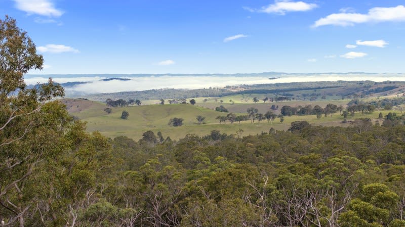 BANJOS - Luxury, Seclusion and Proven Income in the Hunter Valley