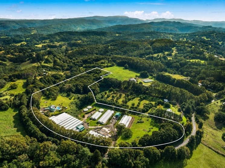 Established Wholesale Nursery with Freehold Byron Bay Hinterland Established Wholesale Nursery with Freehold Byron Bay Hinterland