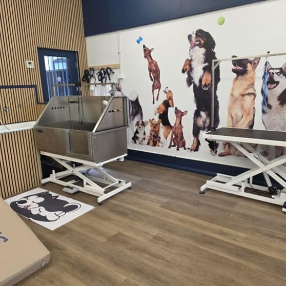 Rewarding Dog Day Care & Grooming Business for Sale - Prime Stanmore, NSW Location - High Foot Traffic - Brand New Fit-Out - New Equipment -Ample Parking - Active Social Media - Huge Growth Opportunity - Asking Price: $ 35,000