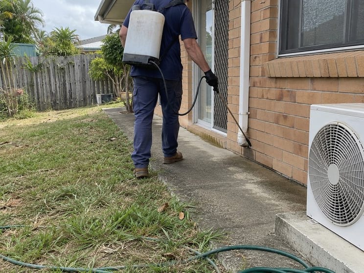Pest Control Business for Sale Recurring Contracts | Mackay
Pest Control Business for Sale Recurring Contracts | Mackay