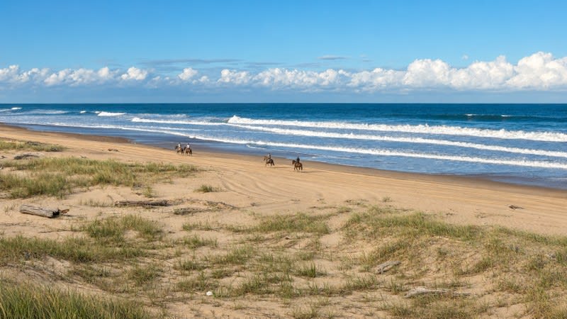 Freehold Oceanfront Landholding with Accommodation Operation 85 Acres NSW
Freehold Oceanfront Landholding with Accommodation Operation 85 Acres NSW