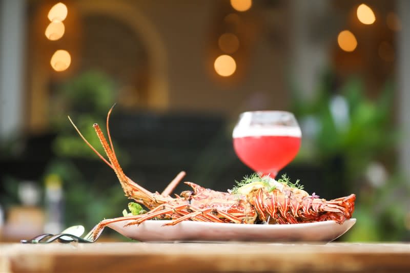 Iconic Waterfront Restaurant - Fully Managed, Airlie Beach Iconic Waterfront Restaurant - Fully Managed, Airlie Beach