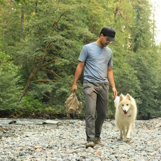 Lifestyle Dog Walking Business Lifestyle Dog Walking Business
