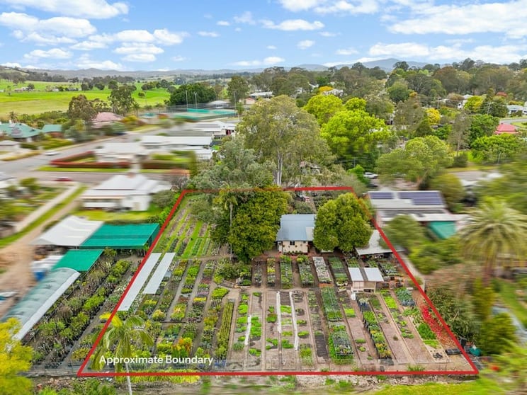 Wingham Nursery & Florist Wingham Nursery & Florist