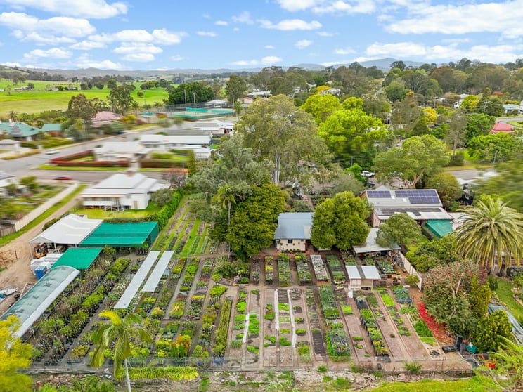 Wingham Nursery & Florist Wingham Nursery & Florist