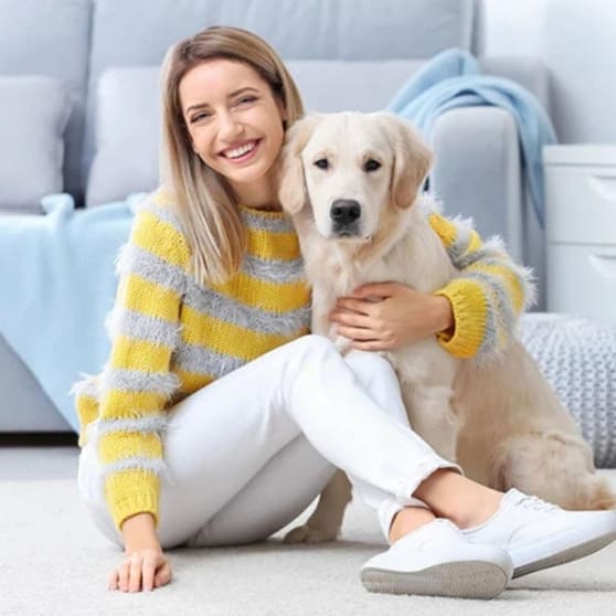 Geelong Chem-Dry Carpet Cleaning Business - $19,900 + GST Geelong Chem-Dry Carpet Cleaning Business - $19,900 + GST