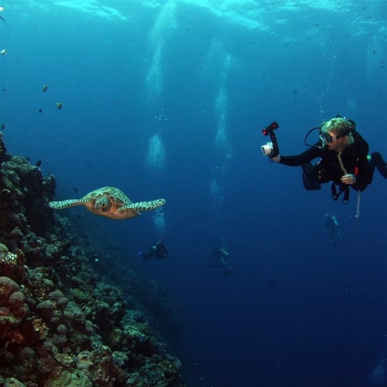 Coming Soon - Scuba Diving Business - Bali