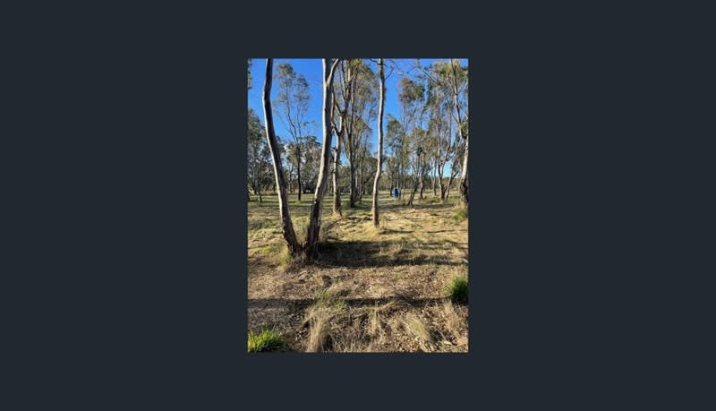 Thirty-Two Acres of Land With Winery & Caravan Park Permit Thirty-Two Acres of Land With Winery & Caravan Park Permit
