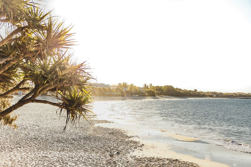 Art and Retail Business for Sale Iconic Hastings Street, Noosa Heads location Art and Retail Business for Sale Iconic Hastings Street, Noosa Heads location