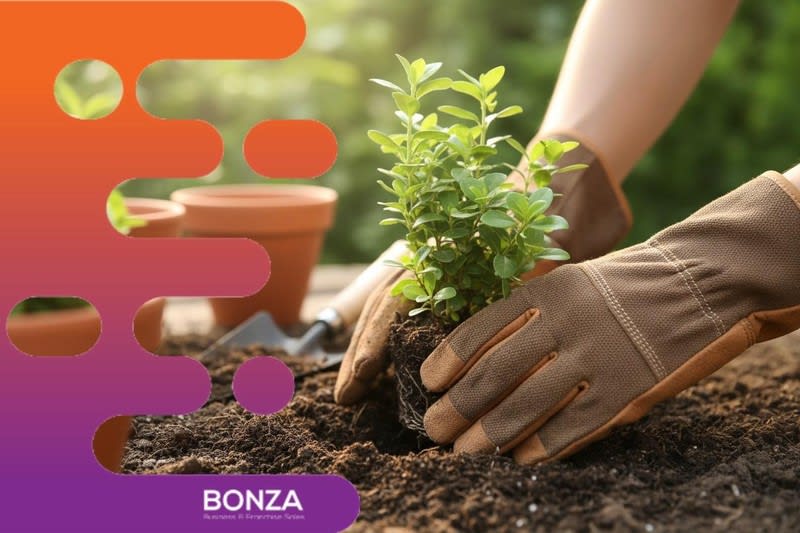 37266 Established Garden Maintenance Business With Recurring Strata Contracts 37266 Established Garden Maintenance Business With Recurring Strata Contracts